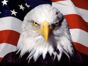 American-12-sports