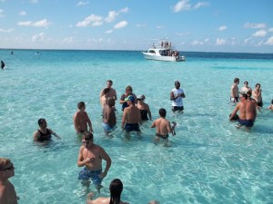 swimming with stingrays